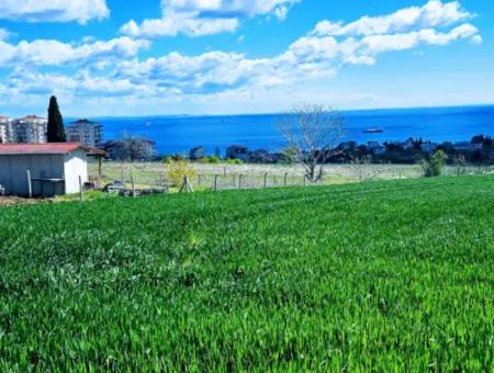 Geeignet Für Dringende Verkaufsgenossenschaft Und Standort In Tekirdag Barbarosta. Hohe Gewinngarantie Für Den Investor