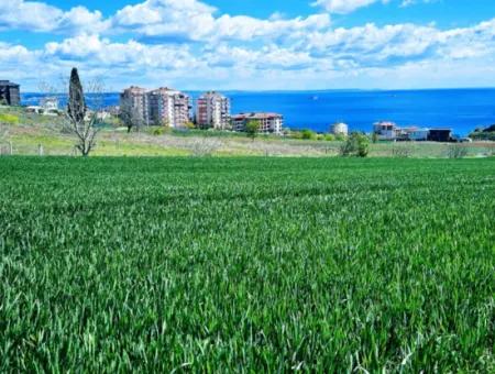 Geeignet Für Dringende Verkaufsgenossenschaft Und Standort In Tekirdag Barbarosta. Hohe Gewinngarantie Für Den Investor