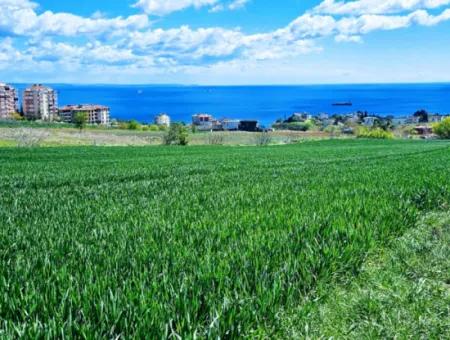 Geeignet Für Dringende Verkaufsgenossenschaft Und Standort In Tekirdag Barbarosta. Hohe Gewinngarantie Für Den Investor