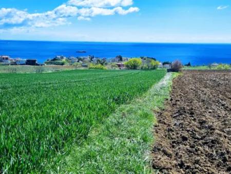 Geeignet Für Dringende Verkaufsgenossenschaft Und Standort In Tekirdag Barbarosta. Hohe Gewinngarantie Für Den Investor
