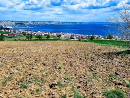 Gelegenheit Grundstück Geeignet Für Dringenden Verkauf Herrliche Lage Voller Meerblick 4 Seitenstrassen, Fassadengenossenschaft Und Baustellenbau