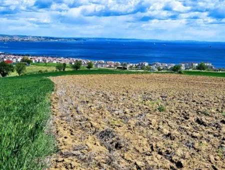 Gelegenheit Grundstück Geeignet Für Dringenden Verkauf Herrliche Lage Voller Meerblick 4 Seitenstrassen, Fassadengenossenschaft Und Baustellenbau