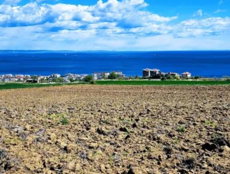 Gelegenheit Grundstück Geeignet Für Dringenden Verkauf Herrliche Lage Voller Meerblick 4 Seitenstrassen, Fassadengenossenschaft Und Baustellenbau