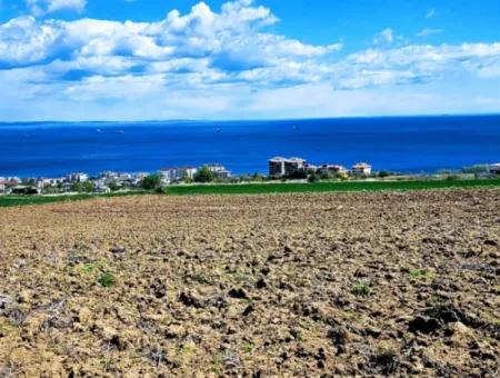 Gelegenheit Grundstück Geeignet Für Dringenden Verkauf Herrliche Lage Voller Meerblick 4 Seitenstrassen, Fassadengenossenschaft Und Baustellenbau