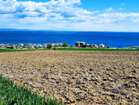 Gelegenheit Grundstück Geeignet Für Dringenden Verkauf Herrliche Lage Voller Meerblick 4 Seitenstrassen, Fassadengenossenschaft Und Baustellenbau