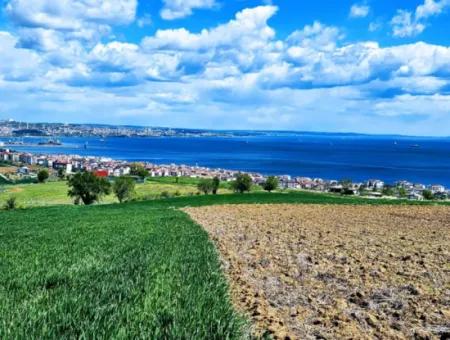 Gelegenheit Grundstück Geeignet Für Dringenden Verkauf Herrliche Lage Voller Meerblick 4 Seitenstrassen, Fassadengenossenschaft Und Baustellenbau