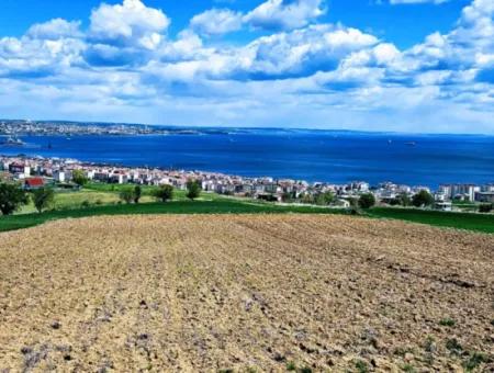 Gelegenheit Grundstück Geeignet Für Dringenden Verkauf Herrliche Lage Voller Meerblick 4 Seitenstrassen, Fassadengenossenschaft Und Baustellenbau