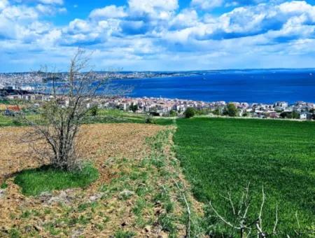 Gelegenheit Grundstück Geeignet Für Dringenden Verkauf Herrliche Lage Voller Meerblick 4 Seitenstrassen, Fassadengenossenschaft Und Baustellenbau