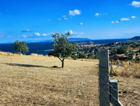 Full Sea View Swap Cash 765 M2 Opportunity Coupon Grundstück Zum Dringenden Verkauf