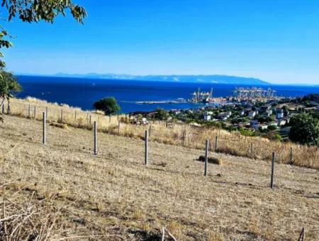 Full Sea View Swap Cash 765 M2 Opportunity Coupon Grundstück Zum Dringenden Verkauf