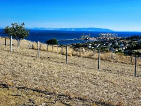 Full Sea View Swap Cash 765 M2 Opportunity Coupon Grundstück Zum Dringenden Verkauf