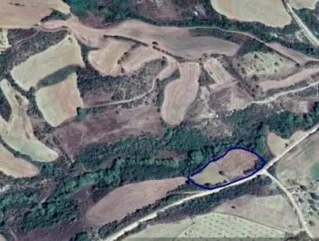 Dieses 5.500 Quadratmeter Große Feld Am Bach Liegt Im Bezirk Tekirdağ Süleymanpaşa Yeniköy