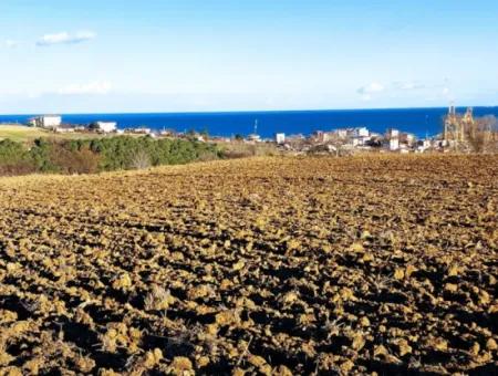 Einzigartiges 17.800 M2 Großes Wohngebiet In Der Gegend Von Süleymanpaşa Barbaros In Tekirdağ