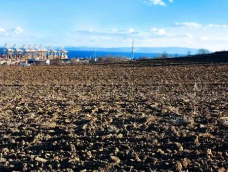 Einzigartiges 17.800 M2 Großes Wohngebiet In Der Gegend Von Süleymanpaşa Barbaros In Tekirdağ