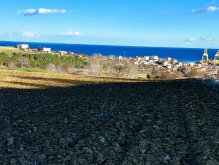 Einzigartiges 17.800 M2 Großes Wohngebiet In Der Gegend Von Süleymanpaşa Barbaros In Tekirdağ