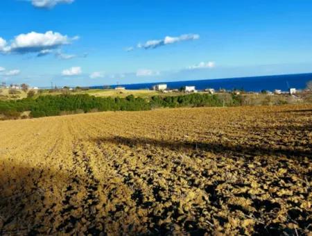 Einzigartiges 17.800 M2 Großes Wohngebiet In Der Gegend Von Süleymanpaşa Barbaros In Tekirdağ