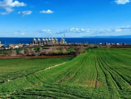 17 980 M2 Feld Zum Verkauf In Der Nähe Des Hafens Von Tekirdag Barbaros Asyaport