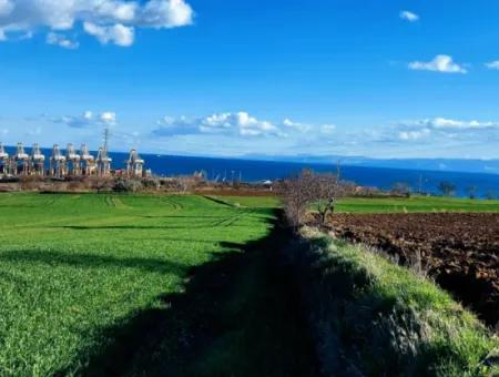 17 980 M2 Feld Zum Verkauf In Der Nähe Des Hafens Von Tekirdag Barbaros Asyaport