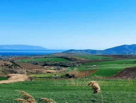 Grundstück Zum Verkauf Auf 19.500 Quadratmetern Gewerbe- Und Industriegebiet Im Nusuratlı-Gebiet Von Tekirdağ