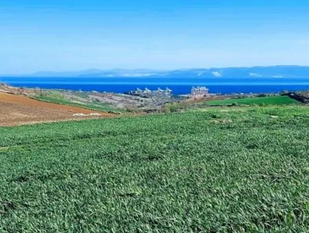 Grundstück Zum Verkauf Auf 19.500 Quadratmetern Gewerbe- Und Industriegebiet Im Nusuratlı-Gebiet Von Tekirdağ