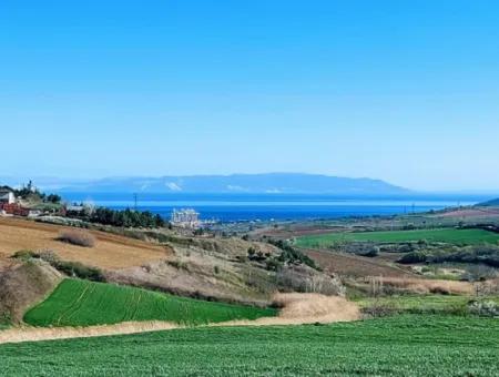 Grundstück Zum Verkauf Auf 19.500 Quadratmetern Gewerbe- Und Industriegebiet Im Nusuratlı-Gebiet Von Tekirdağ