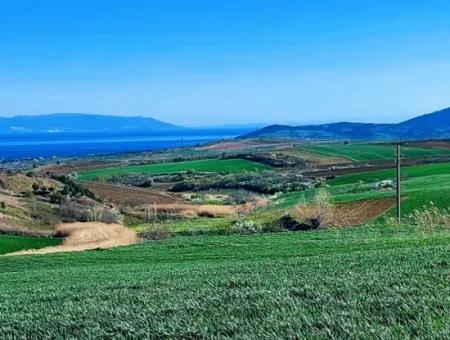 Grundstück Zum Verkauf Auf 19.500 Quadratmetern Gewerbe- Und Industriegebiet Im Nusuratlı-Gebiet Von Tekirdağ