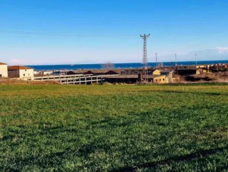 3.100 M2 Feld Zum Verkauf In Tekirdag Süleymanpaşa Barbaros Mit Herrlichem Meer- Und Naturblick