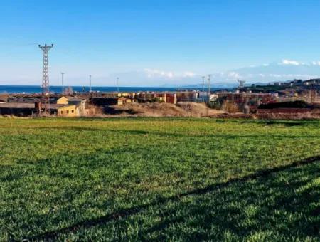 3.100 M2 Feld Zum Verkauf In Tekirdag Süleymanpaşa Barbaros Mit Herrlichem Meer- Und Naturblick