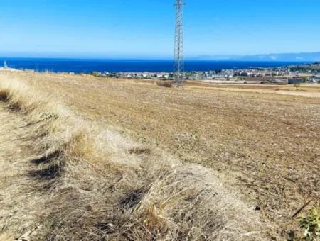 Das 21.900 M2 Große Grundstück In Tekirdağ Barbaros Befindet Sich Innerhalb Des Aktuellen Bebauungsplans Von Asyaport Port