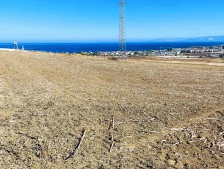 Das 21.900 M2 Große Grundstück In Tekirdağ Barbaros Befindet Sich Innerhalb Des Aktuellen Bebauungsplans Von Asyaport Port