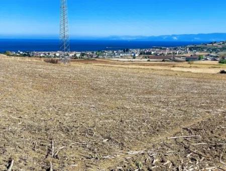 Das 21.900 M2 Große Grundstück In Tekirdağ Barbaros Befindet Sich Innerhalb Des Aktuellen Bebauungsplans Von Asyaport Port