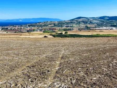 Das 21.900 M2 Große Grundstück In Tekirdağ Barbaros Befindet Sich Innerhalb Des Aktuellen Bebauungsplans Von Asyaport Port