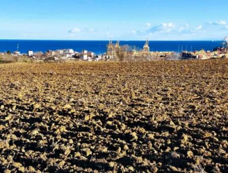 17.100 M2 Wohngebiet Mit Herrlicher Aussicht, In Der Nähe Des Hafens Tekirdağ Barbaros Asyaport