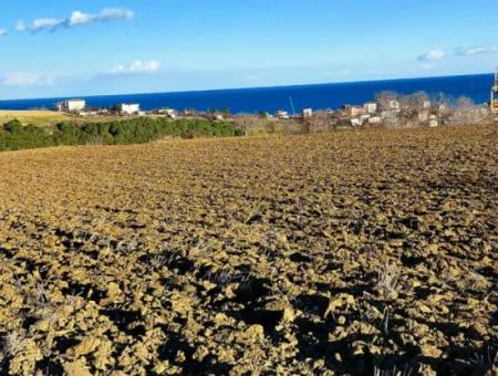 17.100 M2 Wohngebiet Mit Herrlicher Aussicht, In Der Nähe Des Hafens Tekirdağ Barbaros Asyaport