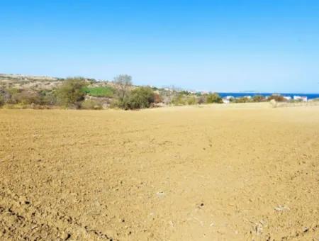 Investitionsmöglichkeit: 615 M2 Eckgrundstück Zum Verkauf In Tekirdag Barbaros - Dringender Verkauf, Meer- Und Naturblick, 0 Zonenbu Harika Konumda Ve 615 M2 Genişliğindeki Acil Satılık Köşe Arsa, Yatırımcılar Için Muazz