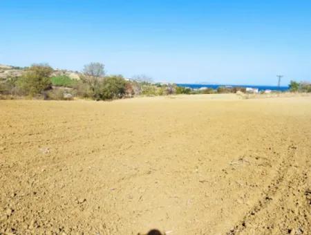 Investitionsmöglichkeit: 615 M2 Eckgrundstück Zum Verkauf In Tekirdag Barbaros - Dringender Verkauf, Meer- Und Naturblick, 0 Zonenbu Harika Konumda Ve 615 M2 Genişliğindeki Acil Satılık Köşe Arsa, Yatırımcılar Için Muazz