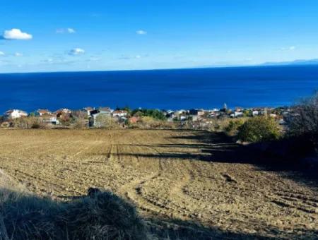 Investitionsmöglichkeit Geeignet Für 6.100 M2 Genossenschafts- Und Grundstücksbau Mit Vollem Meerblick In Tekirdağ Barbarosta!