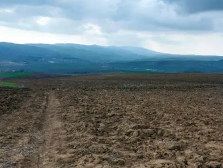 Investitionsmöglichkeit Für Gewerbe- Und Industriegebiete Im Rahmen Des Aktuellen Bebauungsplans Des Asyaport-Hafens In Der Region Tekirdağ Barbaros