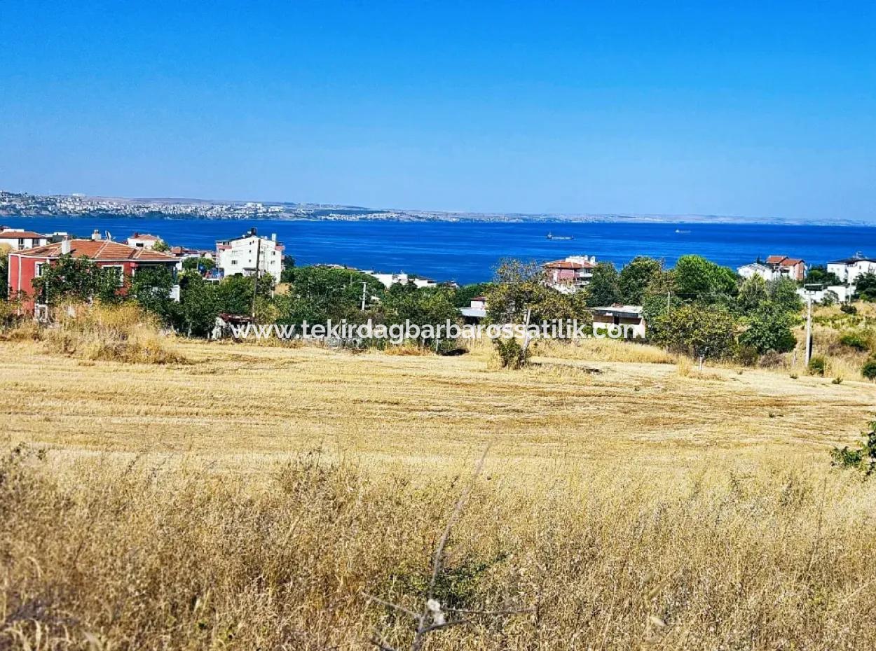 Coupon Land Suitable For Building A Detached House With Full Sea View For Urgent Sale In Tekirdag Barbarosta