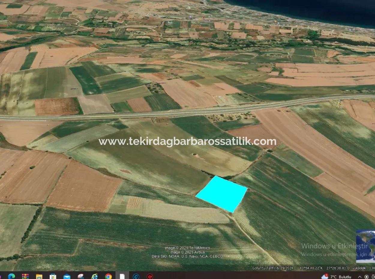 Asyaport Port Is Within The Current Zoning Plan ( Commercial