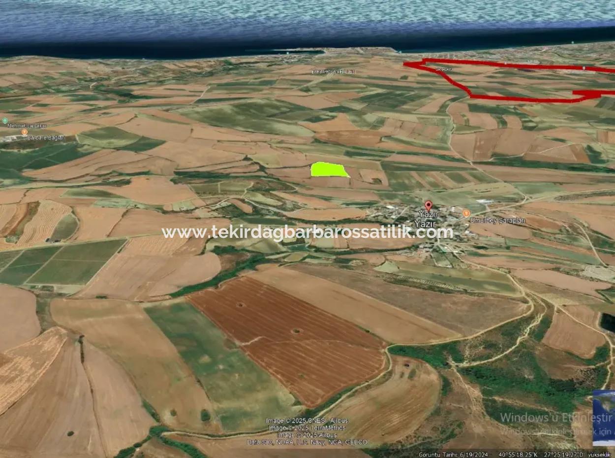 Azyaport Port Is Close To The Existing Zoning 16.100 Emergency Sale Investment Bargain Coupon Field