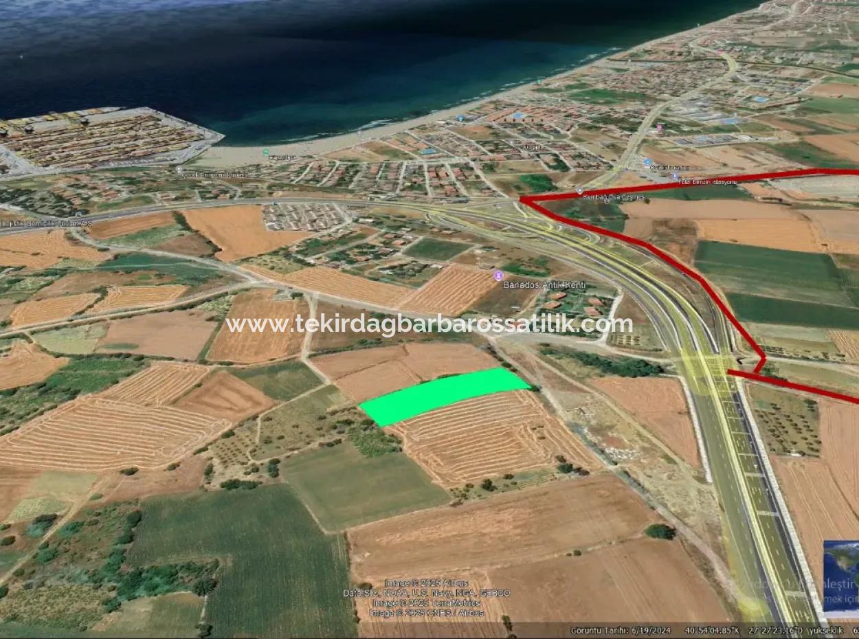 4.150 M2 Residential Zoned Field For Urgent Sale Just 1 Km From Asyaport Port