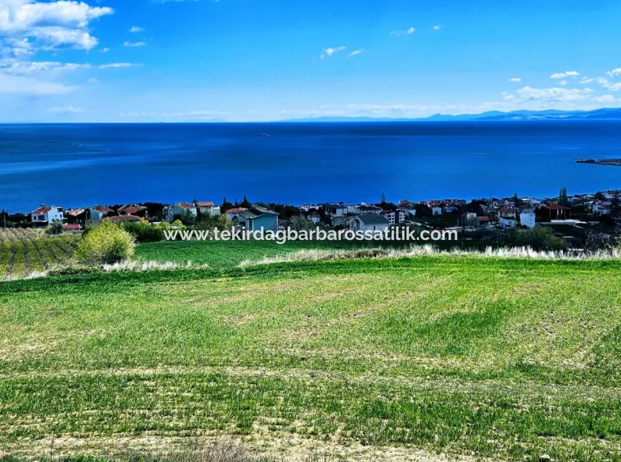 Residential Zoned Land With Full Sea View Suitable For The Construction Of A 42-Apartment Cooperative Site For Urgent Sale In Tekirdag Barbarosta