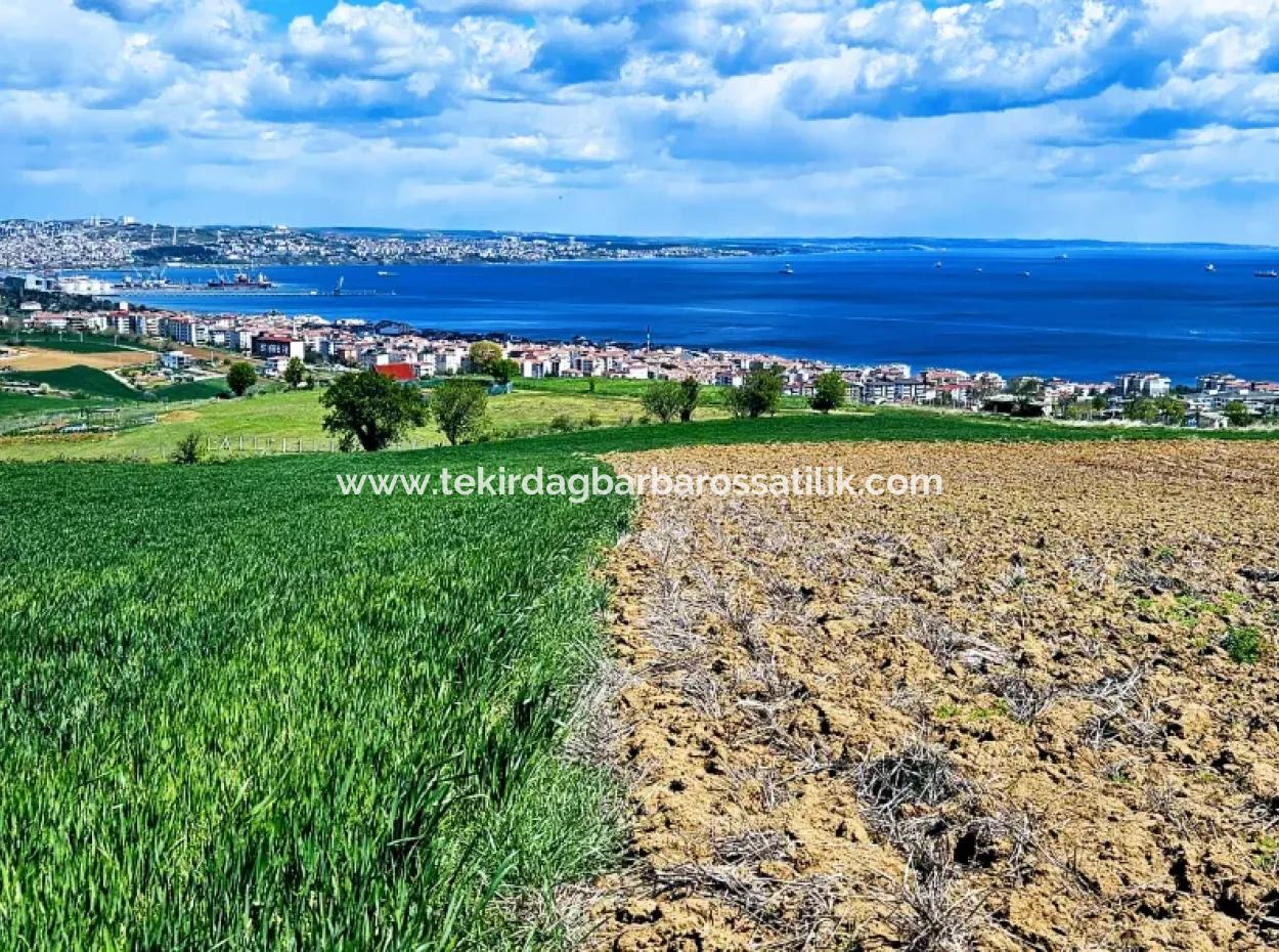 Opportunity Land Suitable For Urgent Sale Magnificent Location Full Sea View 4 Side Road Façade Cooperative And Site Construction