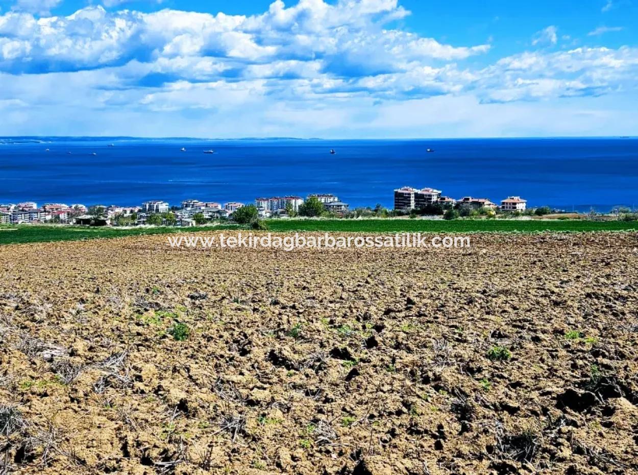 Opportunity Land Suitable For Urgent Sale Magnificent Location Full Sea View 4 Side Road Façade Cooperative And Site Construction