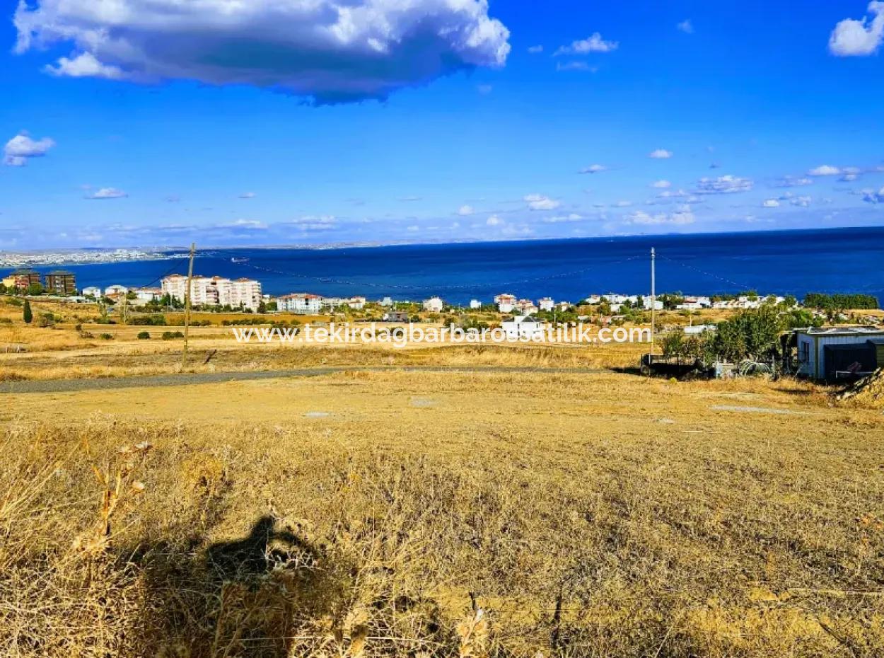 Tekirdag Barbarosta Voucher Land With Full Sea View For Urgent Sale
