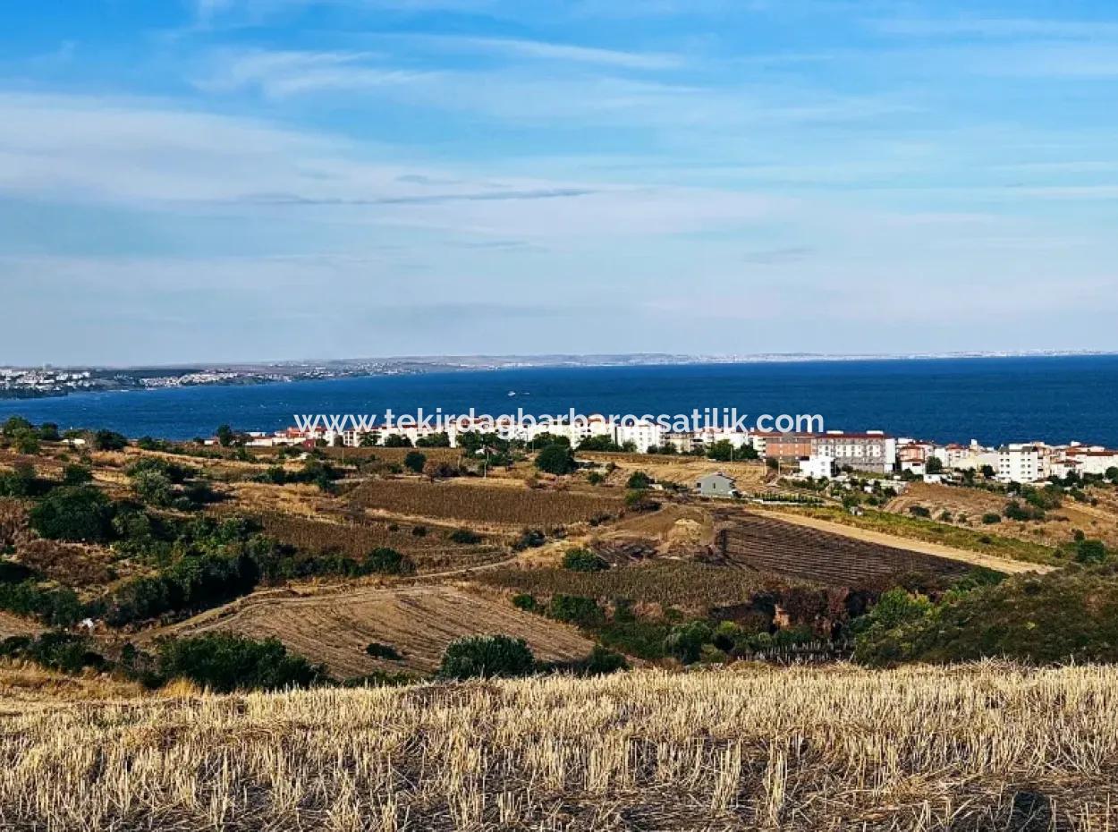 1,150 Sqm Plot Close To Ramada Hotel In Tekirdag Suleymanpasa Barbaros - Topagac