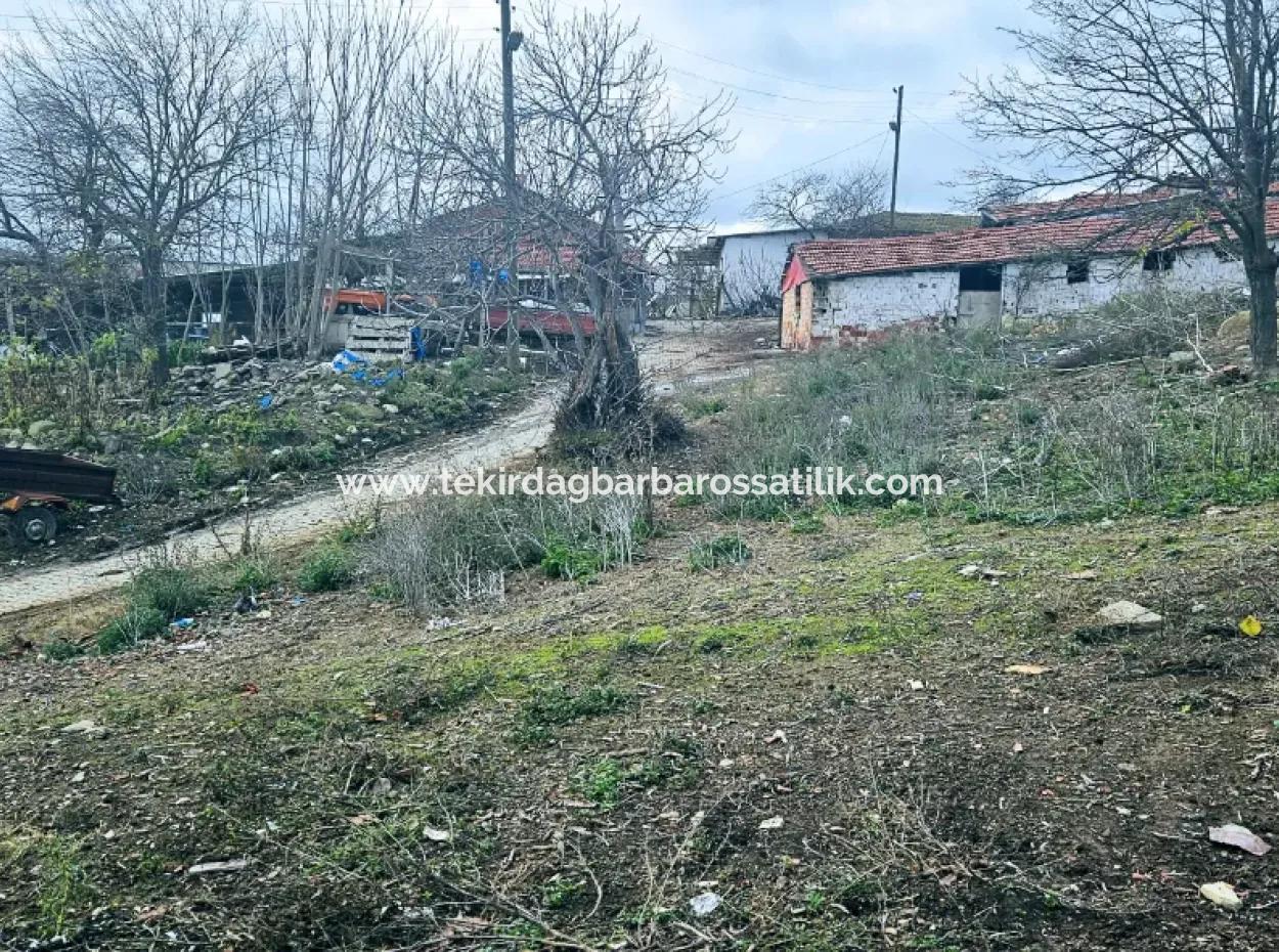 Opportunity Corner Land For Enthusiasts Who Want To Build A Village House For Urgent Sale
