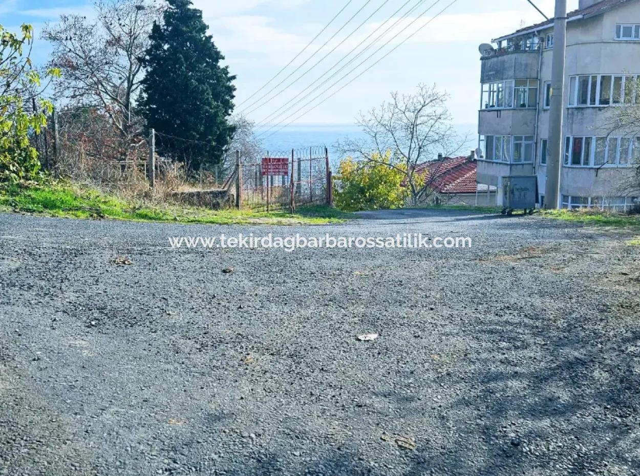 2 Plots Of Land For Urgent Sale 2 Detached Houses Suitable For Building Coupon Land
