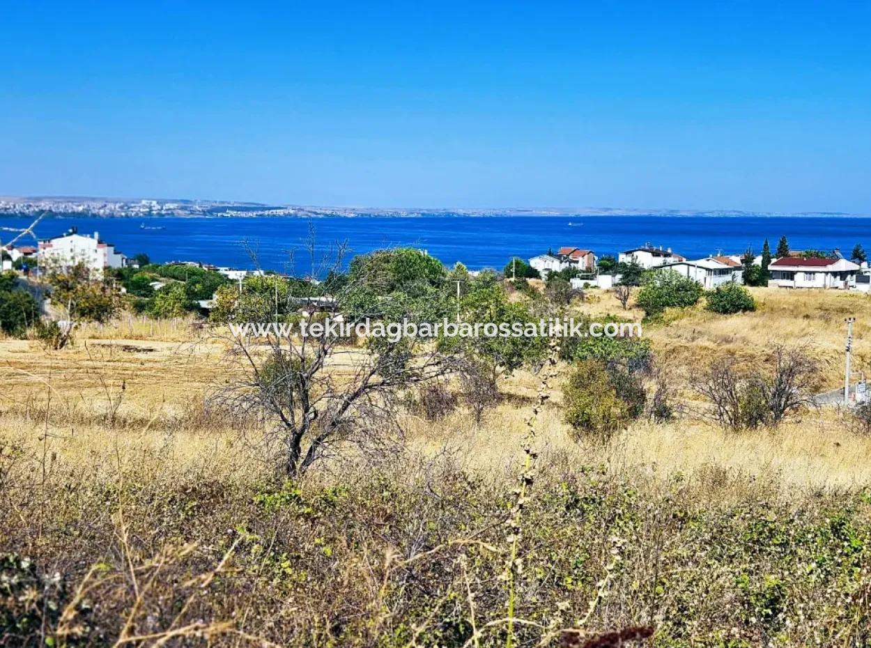 Opportunity Land Suitable For Building A Detached House In A Wonderful Location In Tekirdag Barbarosta, Close To The Sea